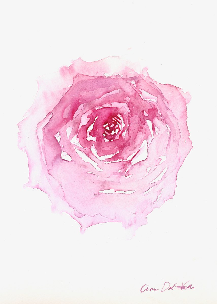 Rose I by Aimee Del Valle