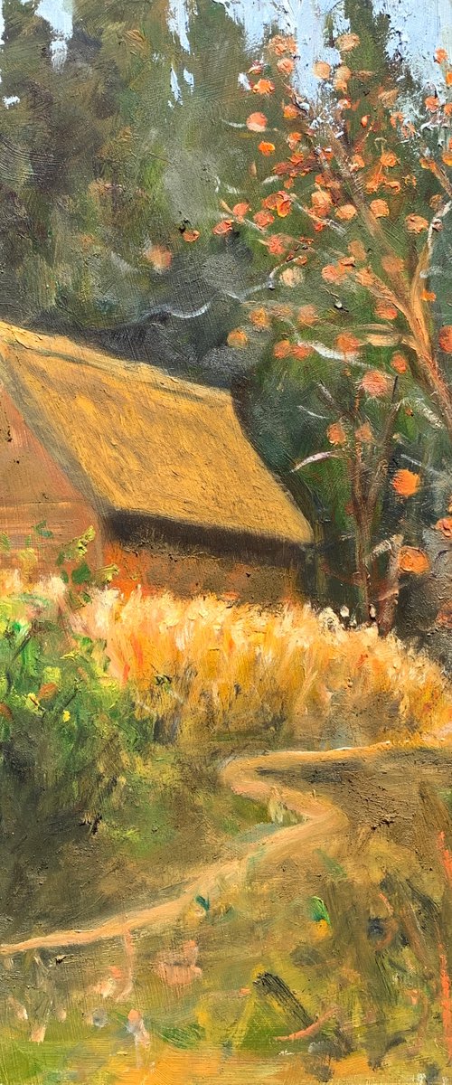 Shirakawa-go In autumn by Shelly Du