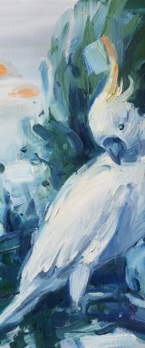 Bird White parrot Oil painting by Anna Shchapova