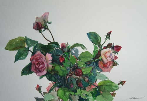 Roses by Elena Sanina