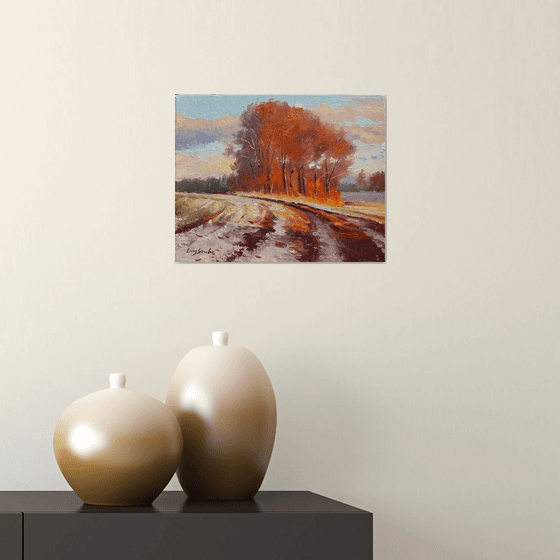 Winter Evening Sunlight