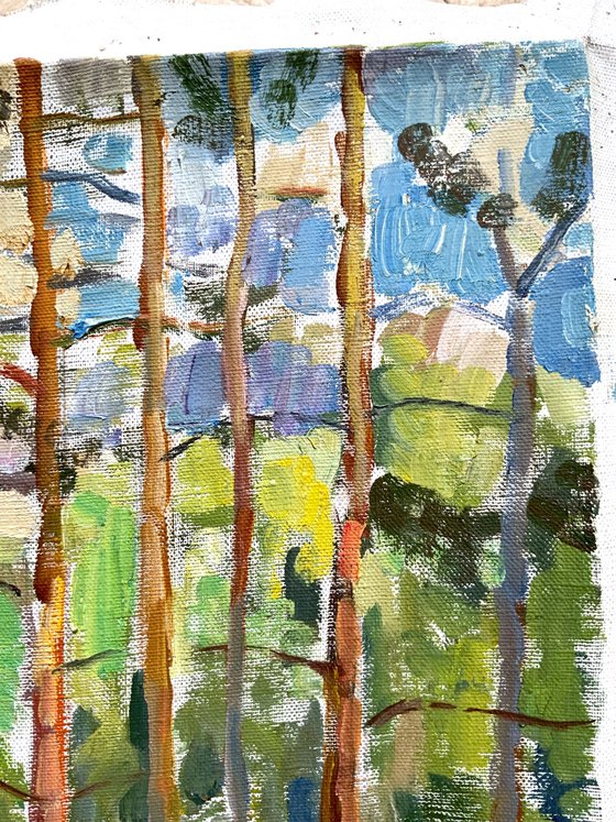 Pines in Imatra