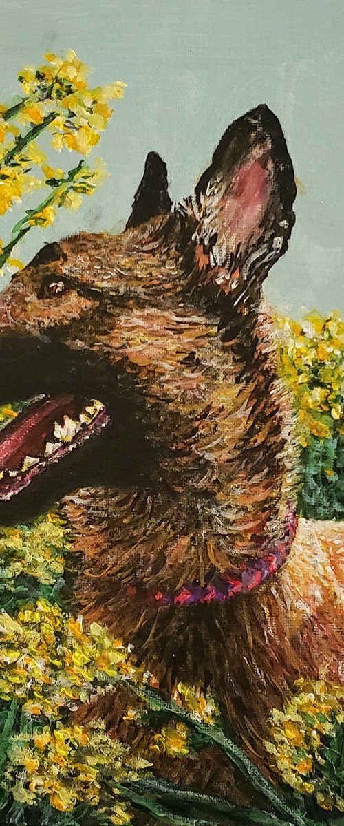 Malinois Amongst Flowers by Robbie Potter