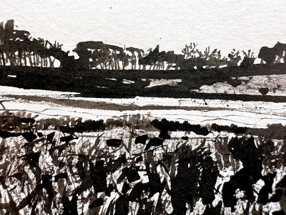 Pennsylvania Fields
