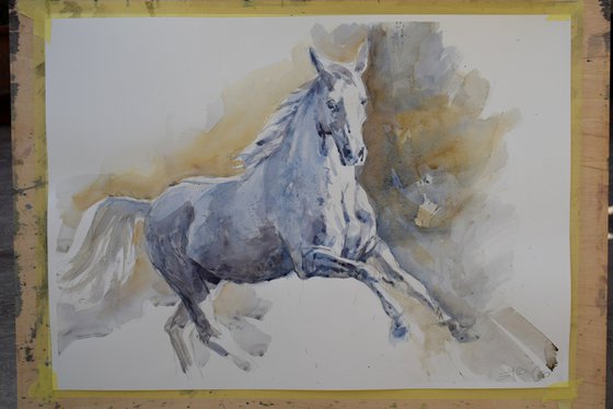 Running white  horse 5(70x50)