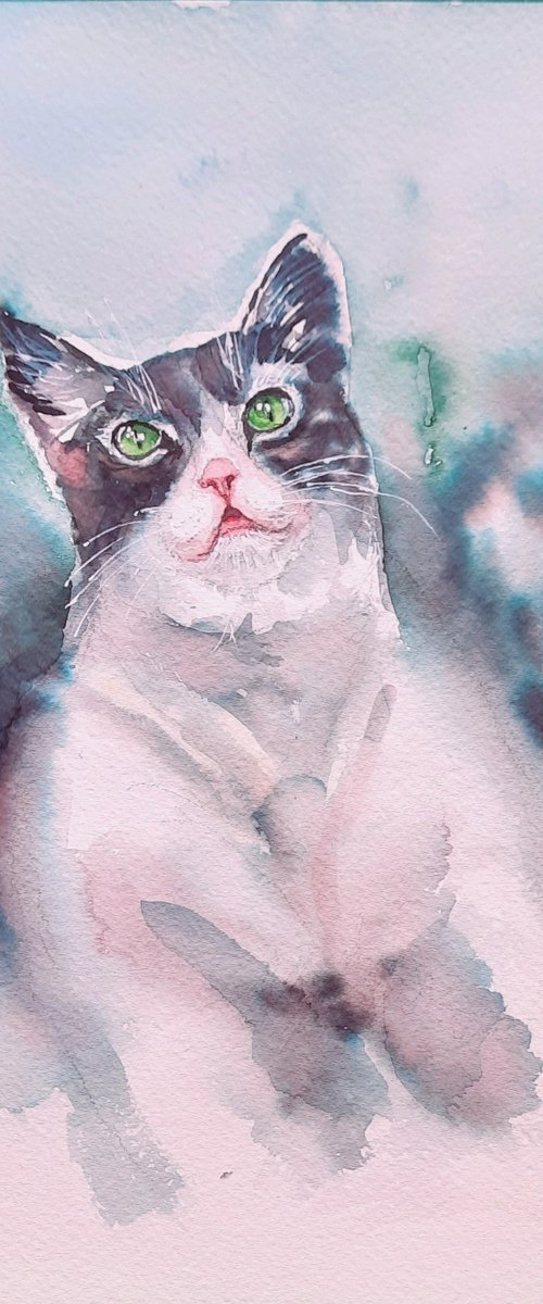 Gowrie the Cat by Asha Shenoy