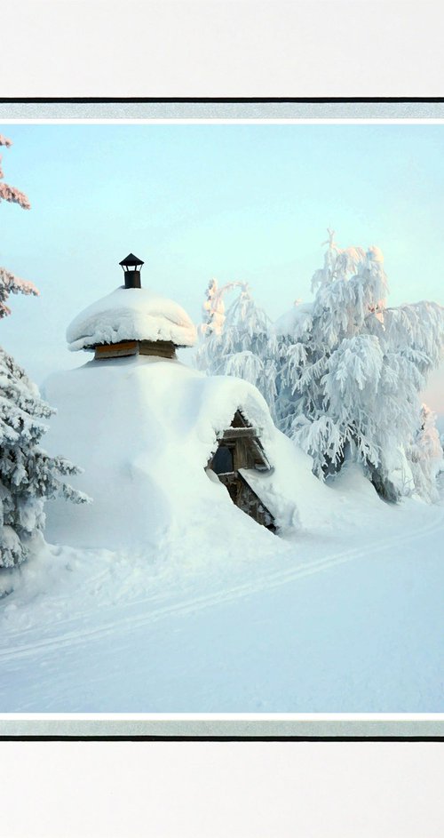 Finland Snow Forest four by Robin Clarke