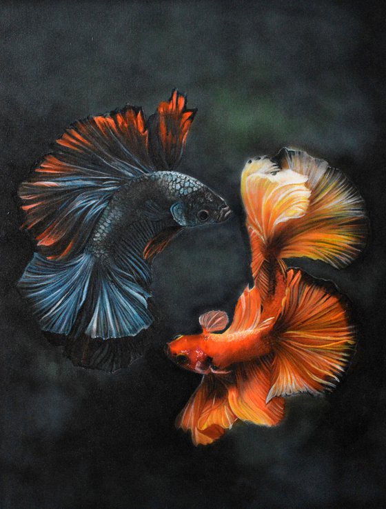 Yin & Yang