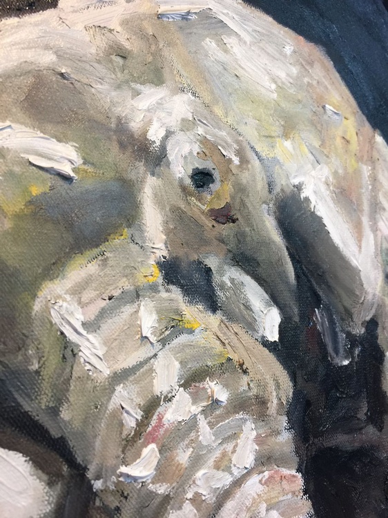 Elephant Painting Meaning Of Life Elephant P Artfinder Which item of art equipment am i? elephant painting meaning of life elephant picture oil on canvas 16x20