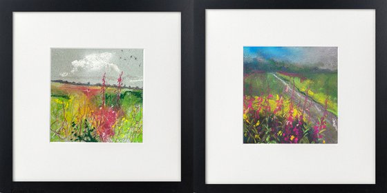Two Rosebay Willowherb views