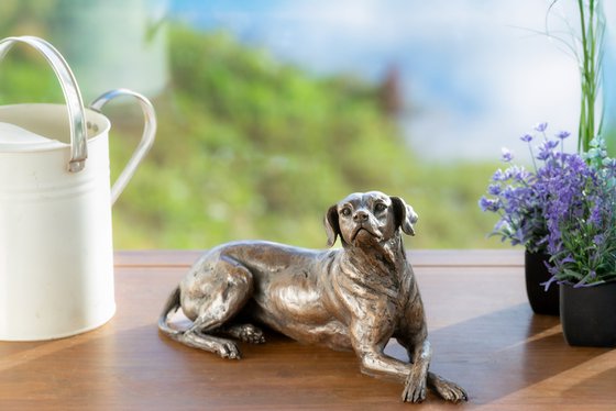 Lying Redbone Hound in Bronze Resin