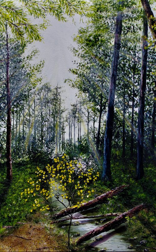 Light Refracting Through the Forest  61cm x 92cm by Hazel Thomson