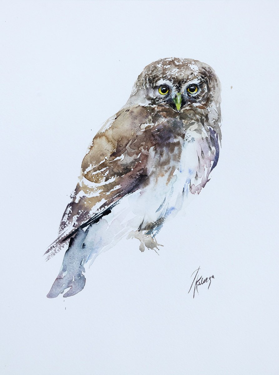 Animal Watercolour By Andrzej Rabiega, 12 X 16, Eurasian Pygmy Owl, Original Artwork