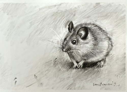 Charcoal Mouse by Luci Power