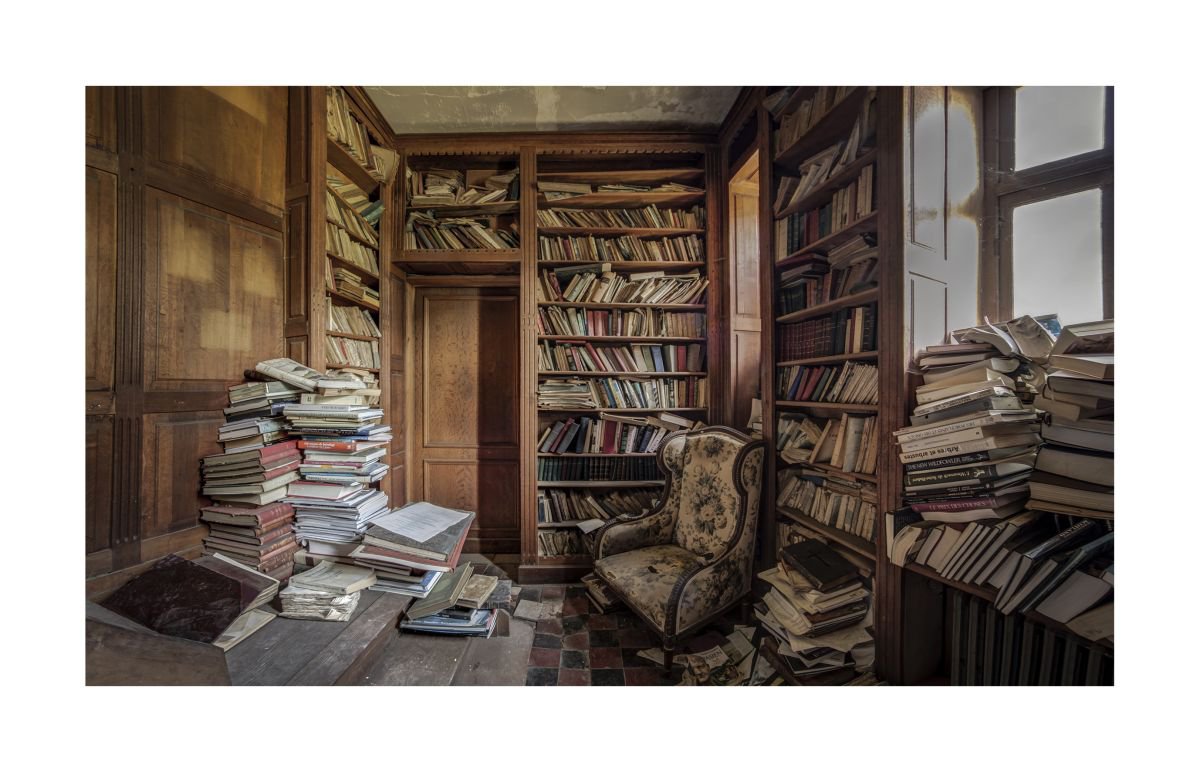 The Library by Olga V�zquez