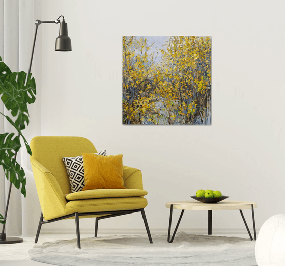 Blooming forsythia