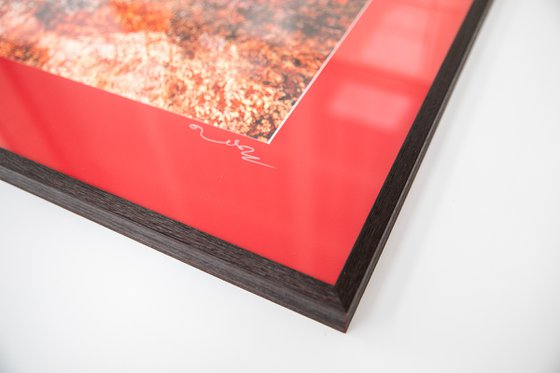 Wall of Nature LX (Framed)