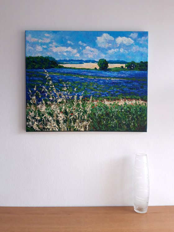 Lavender in Provence