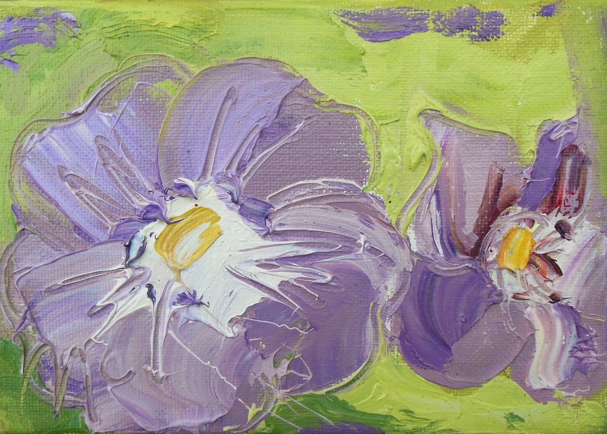 Geranium - Purple Flowers by Ben McLeod