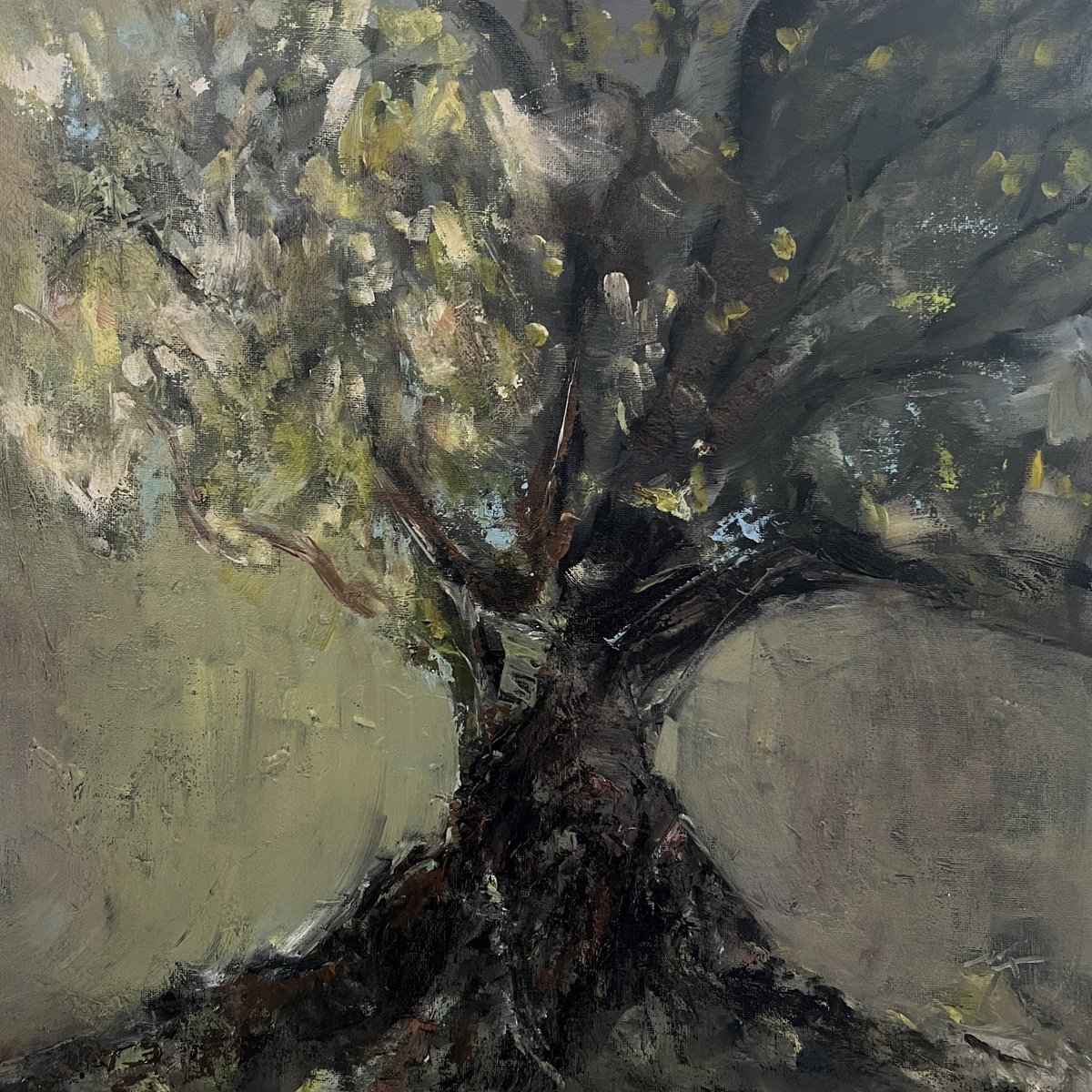 Abstract Oil Painting By Maxence Ma, 16 X 16", Behind A Tree, Original Artwork