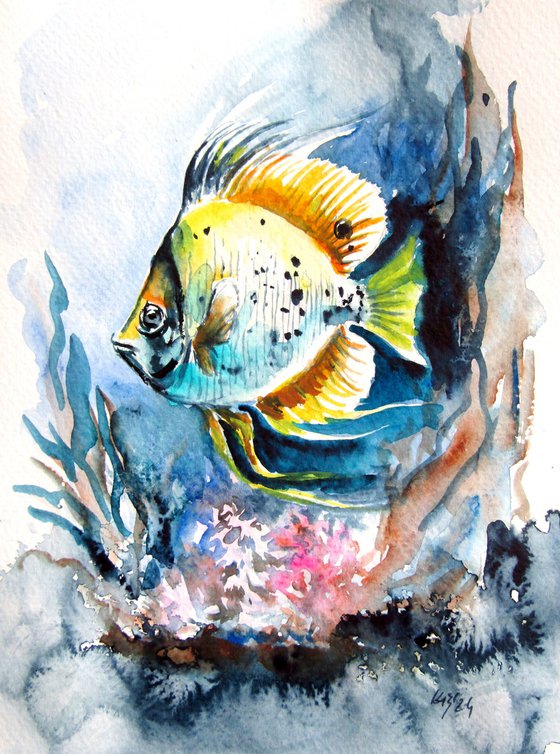 Colorful fish II