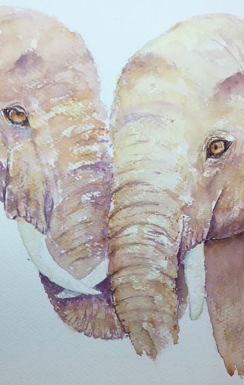 Elephant couple by Sabrina’s Art