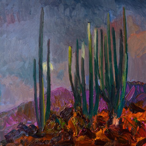 The Moon and Cactuses. Desert Night