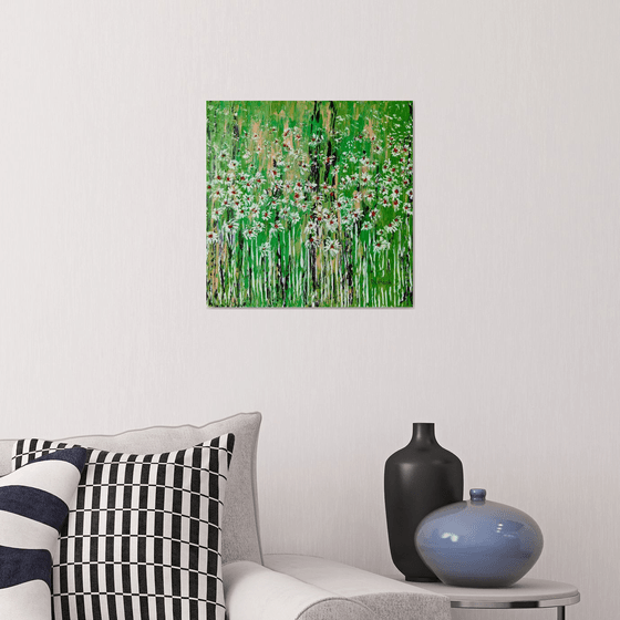 Daisies In The Grass