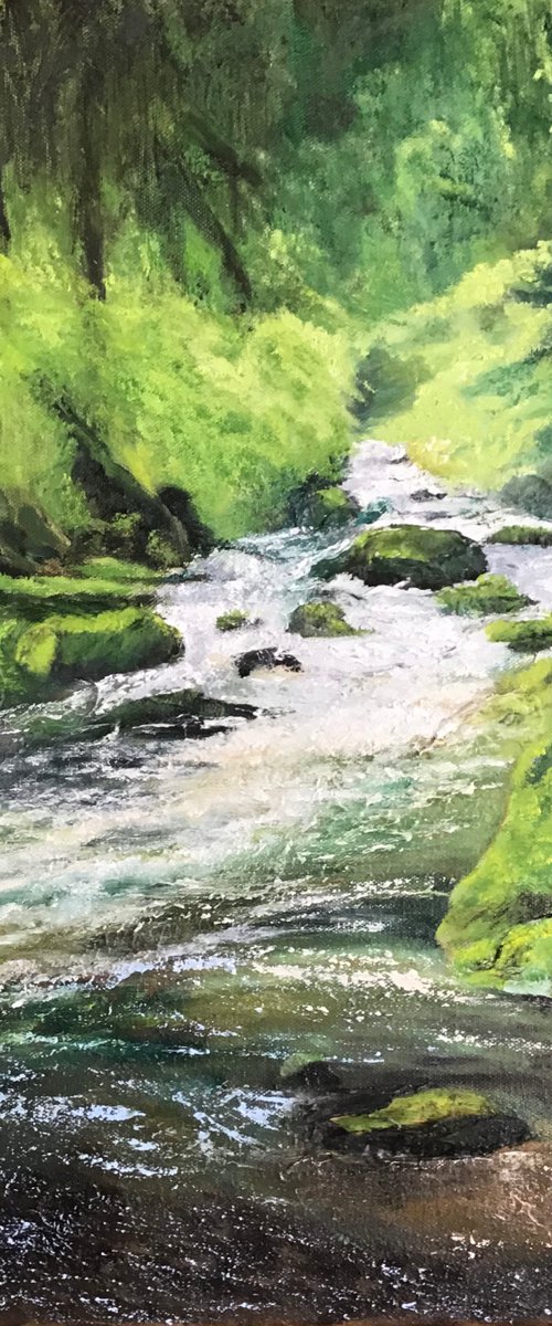 River Lyn by Robin Souter