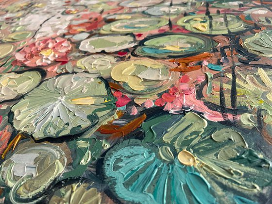 Sun Kissed Lotus Pond