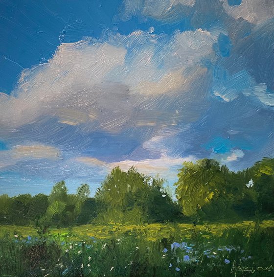 "Field"original oil painting by Artem Grunyka