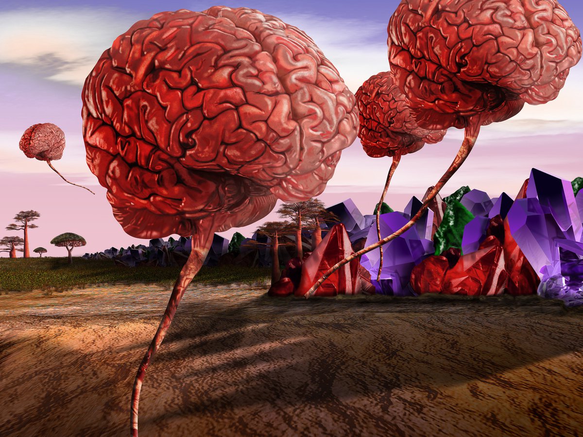 Mind Games by Nigel Follett