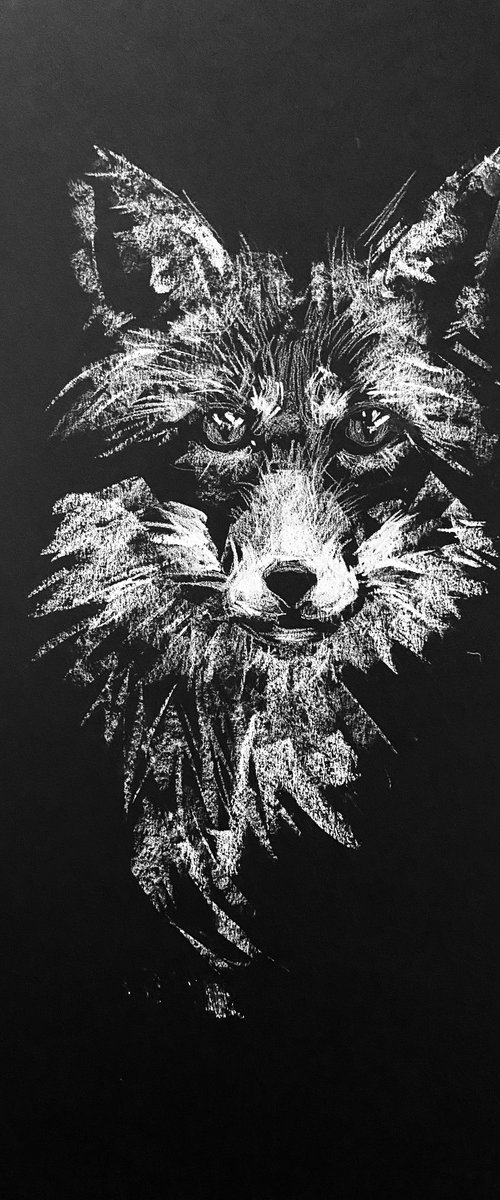 Fox by Olga Bolgar