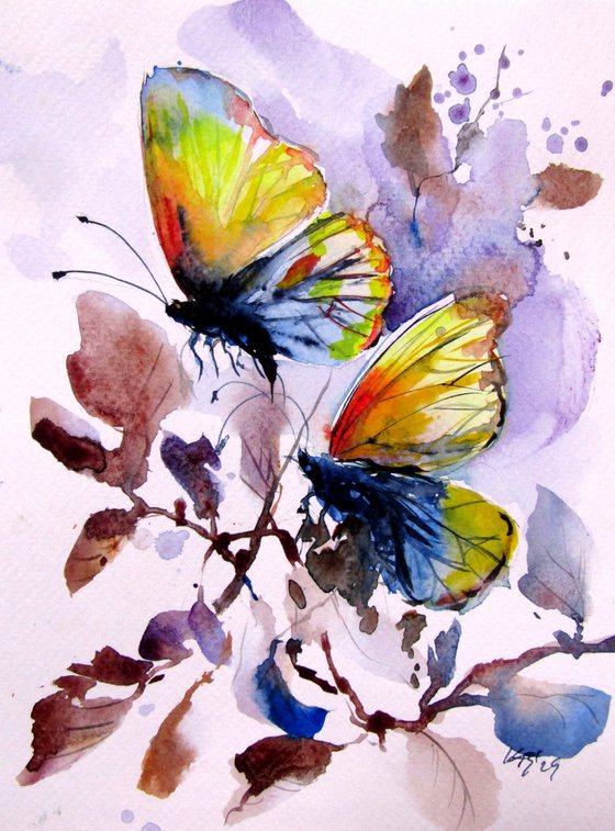 Little butterfly collection