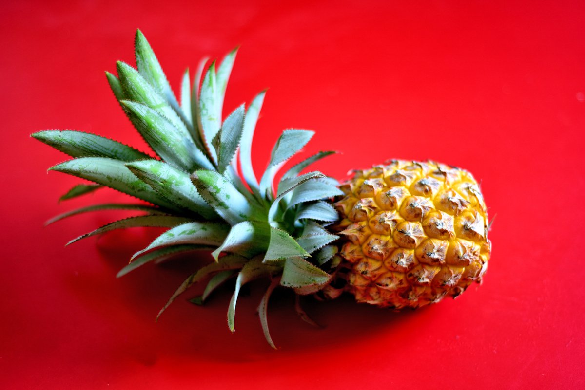 Pineapple on red background by Elena Zapassky