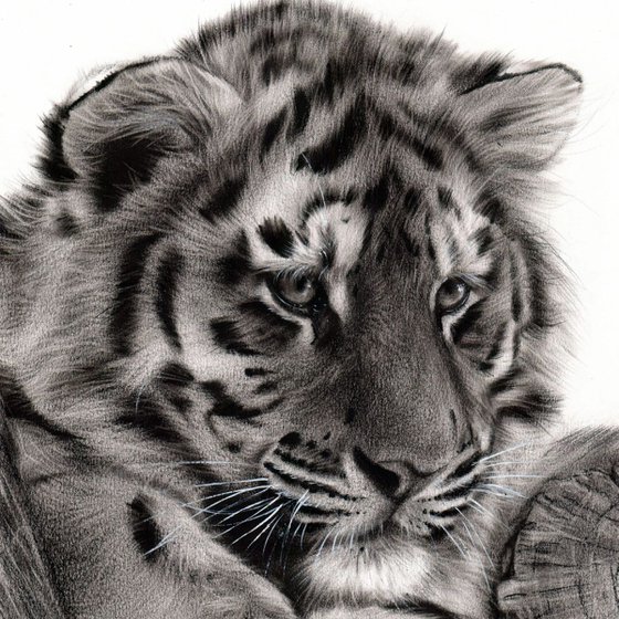 Tiger Cub Marwell