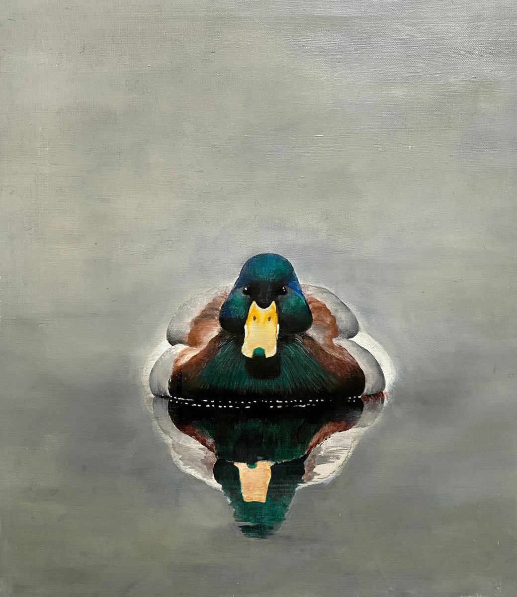 Duck 50X57 cm oil painting by Elena Troyanskaya by Elena Troyanskaya