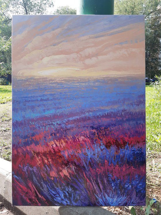 Pink Field at Sunrise 70x100cm