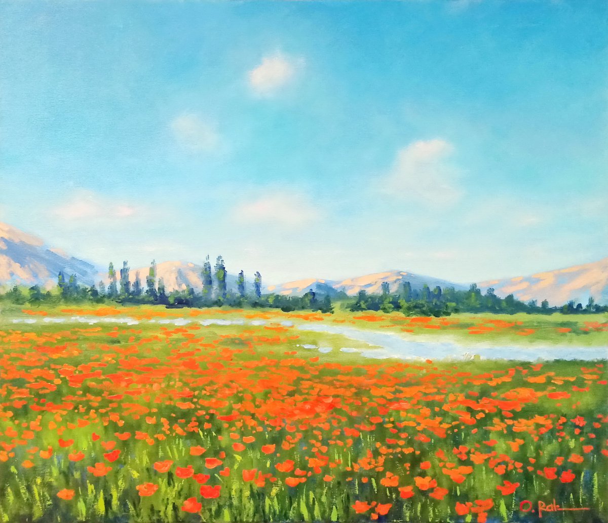 Poppy field in the valley by Oleh Rak