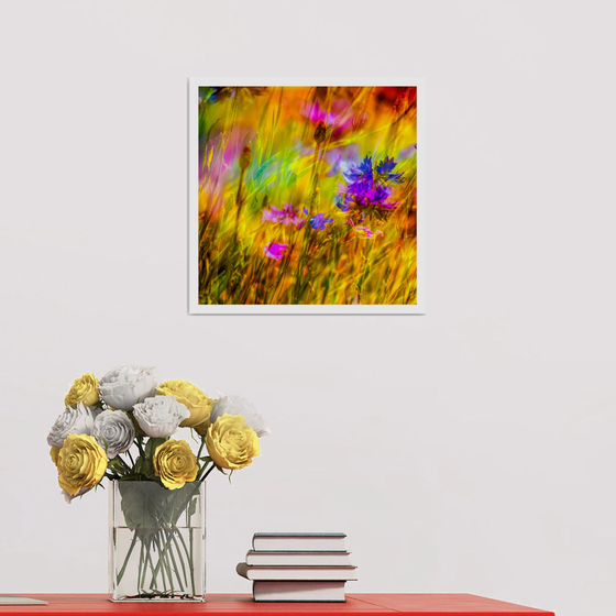 Summer Meadows #10. Limited Edition 1/25 12x12 inch Abstract Photographic Print.