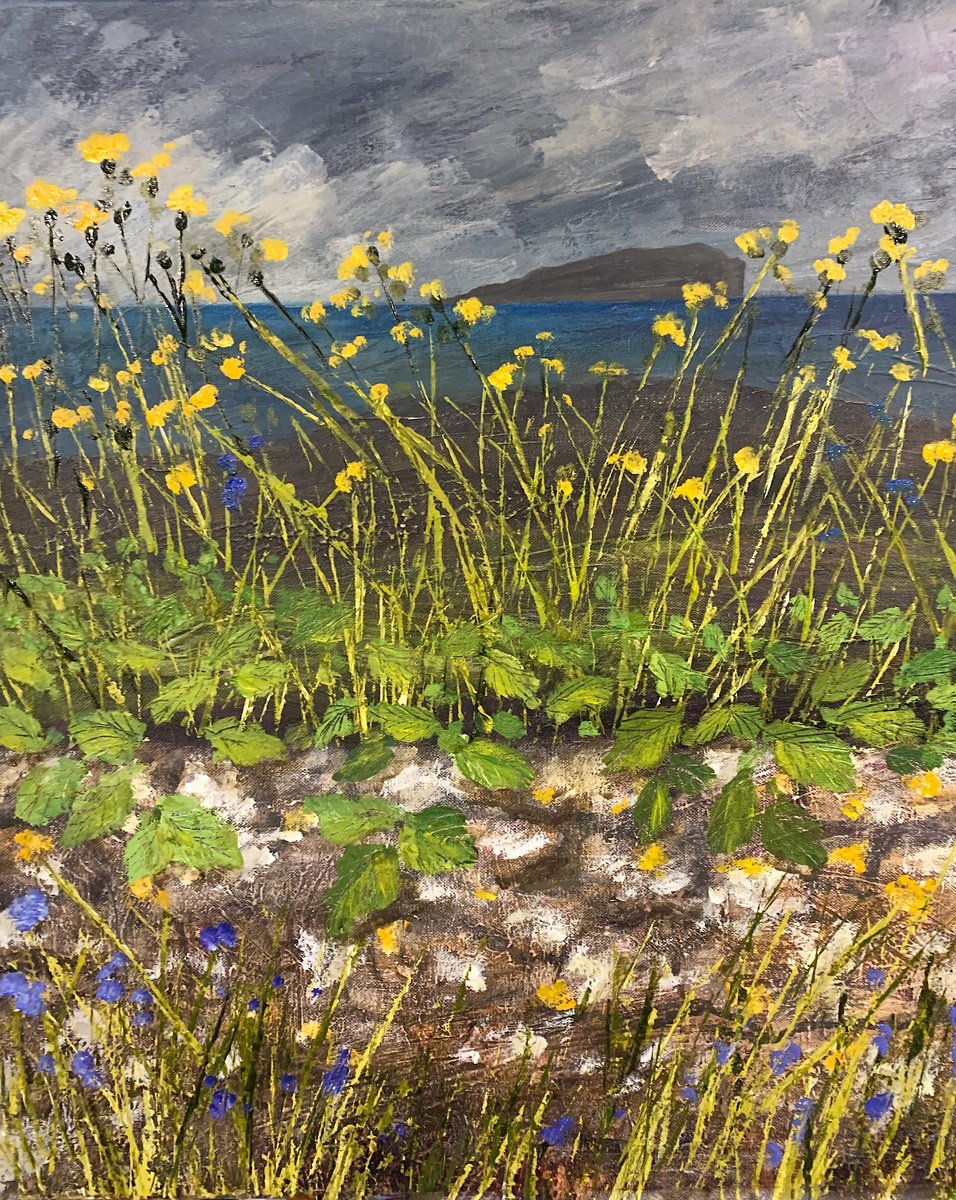 Impressionistic Landscape Oil Painting By Suzsi Corio, 21 X 25", Isle Of May, Fife, Scotland, Original Artwork