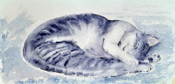 Sleeping Cat