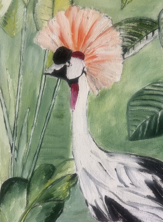 Wader bird