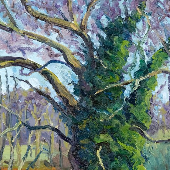 Terrington Trees, February