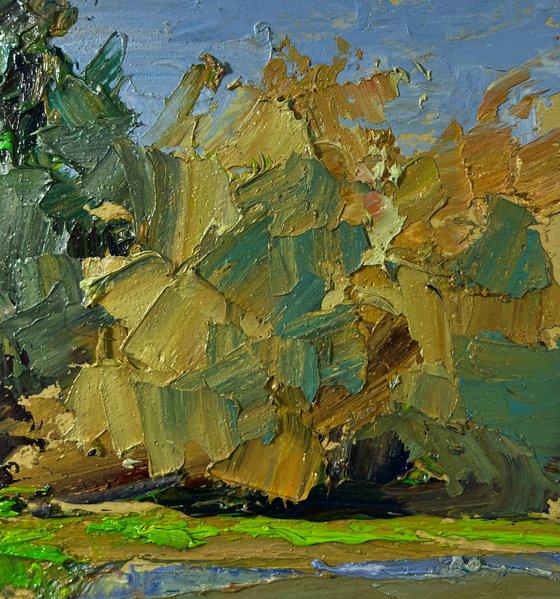 Trees above the River