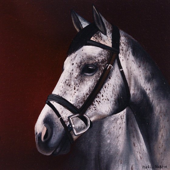 Horse Portrait 114