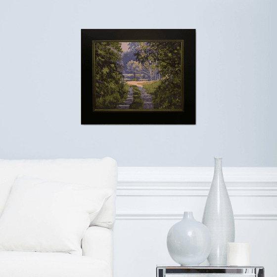 Colorful Forest Light