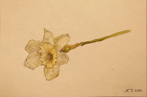 Flower Study III by Nikola Ivanovic