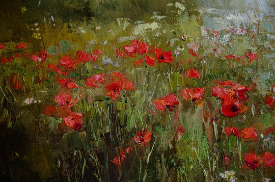 Poppy field