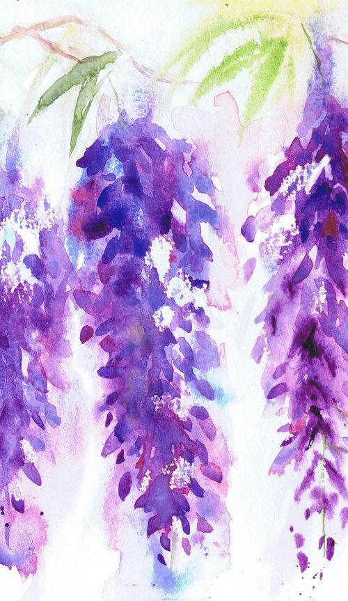 Wisteria Flowers by Michele Wallington